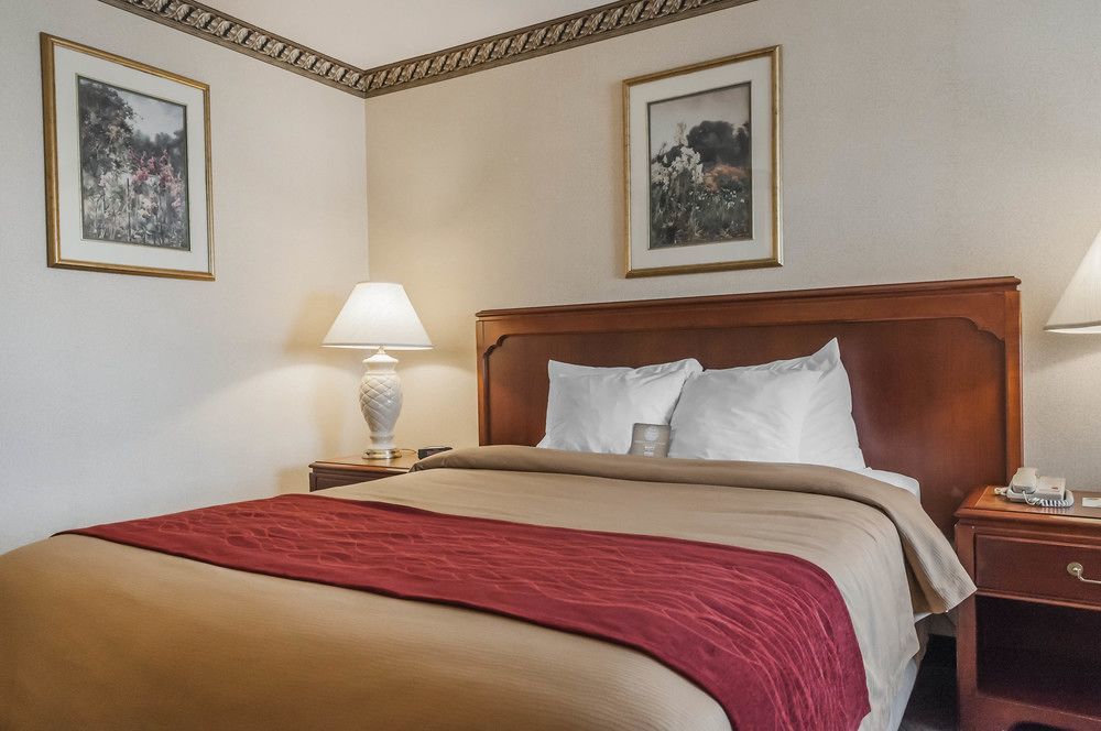 Comfort Inn Meadowvale 미시소거 외부 사진