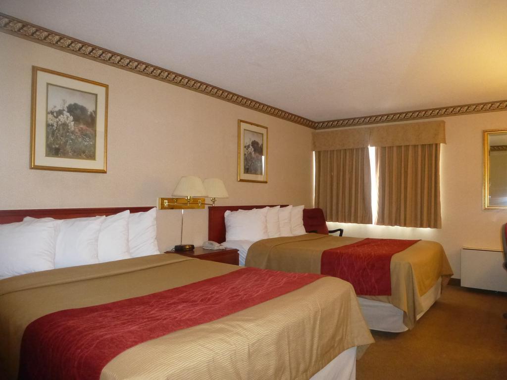 Comfort Inn Meadowvale 미시소거 객실 사진